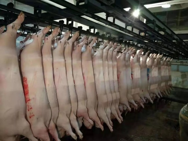 生豬屠宰企業管理方案|白條分割系統|肉類加工廠軟件|屠宰管理系統 生豬屠宰企業管理方案|白條分割系統|肉類加工廠軟件|屠宰管理系統